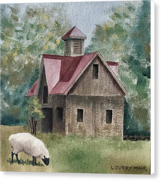 Sheep and Old Barn - Canvas Print