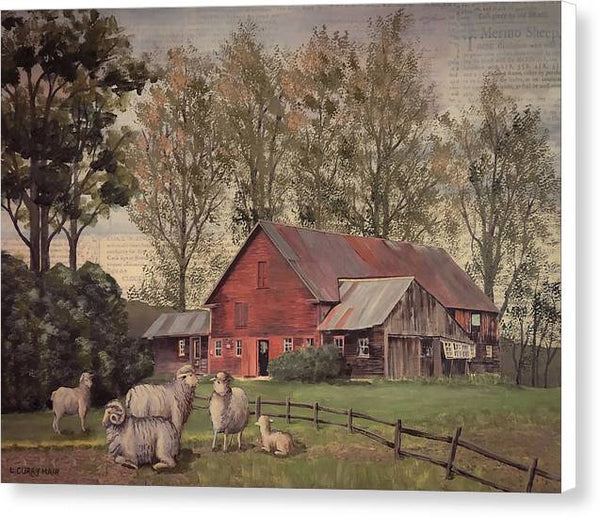 Weathersfield Bow Farm - Canvas Print
